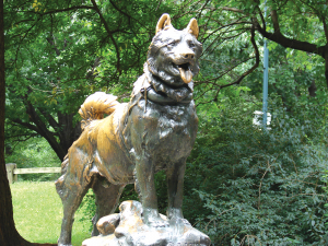 and the statue of Balto, the sled dog who saved Alaska’s children from a diphtheria epidemic and inspired the yearly Iditarod Race.