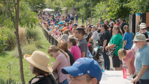 A crowd during Seneca Park Zoo’s Elephant Day, which happens in August. Courtesy of Austin Quinlan.