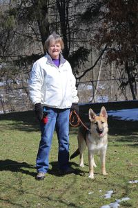 Cora and Bonnie — Victor resident Bonnie Kelly takes Cora on her daily 2-mile walk as part of her early training. Kelly raised Cora’s mother, Rasha, a few years ago, Kelly has raised 13 Guiding Eyes for the Blind dogs so far. Photo of Melody Burri.