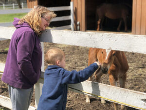 Grandson Gavin Yelle bonds with Ellie Moro at Hillrose Farm.