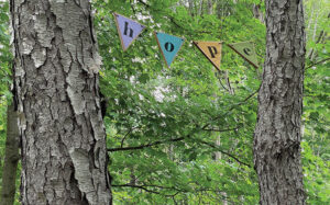 Banners at Birdsong Fairy Trail in Mendon Ponds Park. 