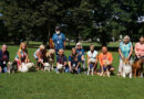 Photo: These happy canines brought their owners to Rochester’s Cobbs Hill Park last August for one of RocDog’s regular gatherings. Photo by Mike Costanza