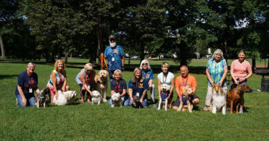 Stress Relief on a Leash Photo: These happy canines brought their owners to Rochester’s Cobbs Hill Park last August for one of RocDog’s regular gatherings. Photo by Mike Costanza